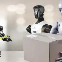 Le coût de la robotique, principal obstacle à l&rsquo;adoption